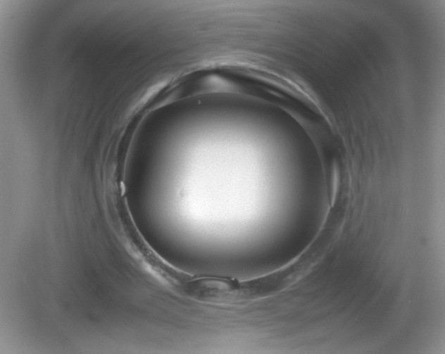 X0000082690485200702021331