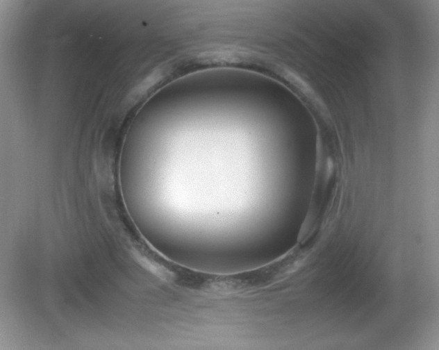 X0000082690489200702021331