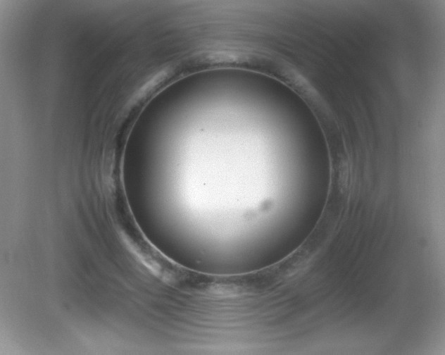 X0000082690490200702021331