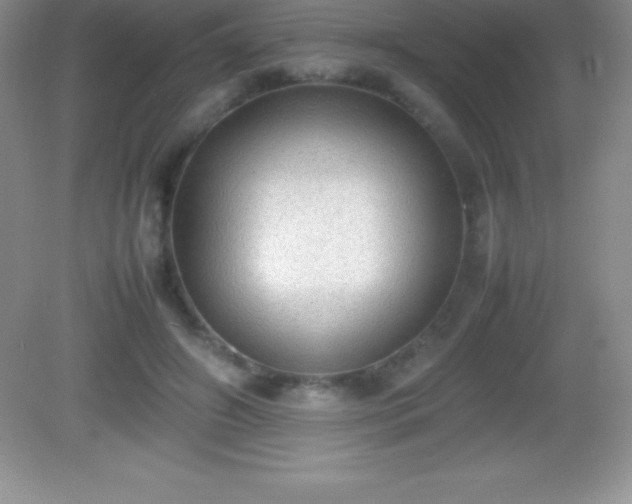 X0000082690498200702021331