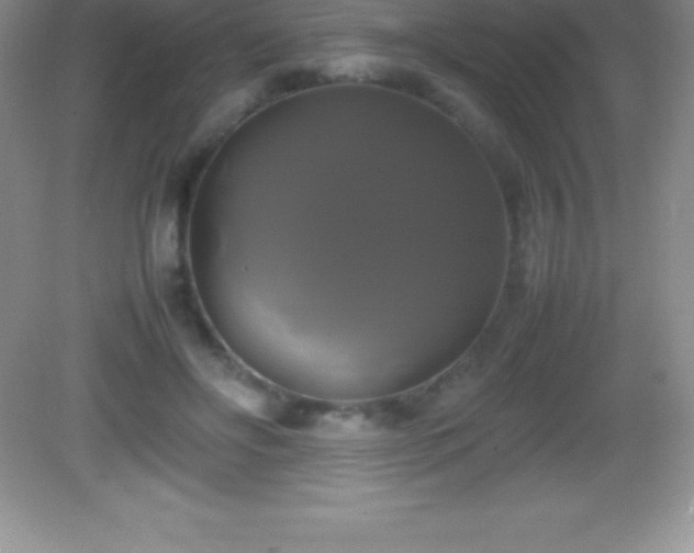 X0000082690502200702021331
