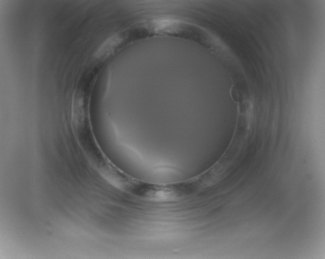 X0000082690506200702021331