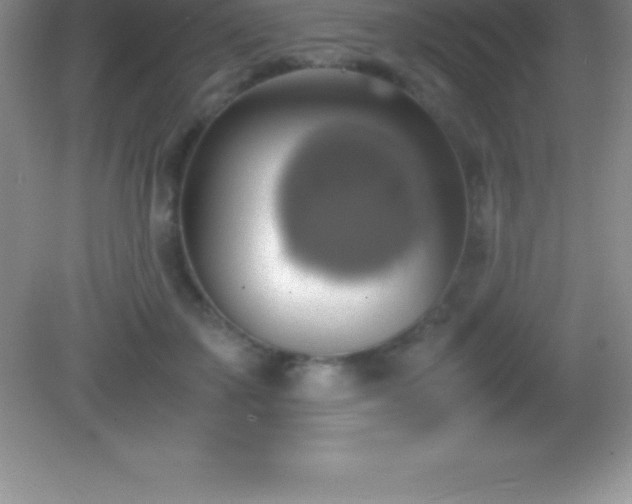 X0000082690507200702021331