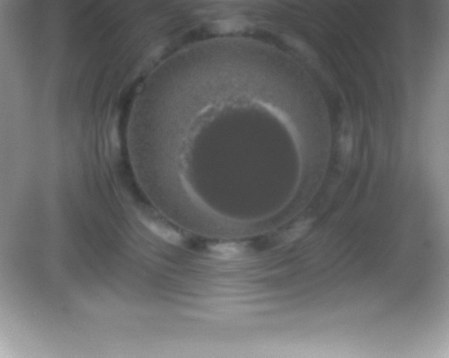 X0000082690516200702021331