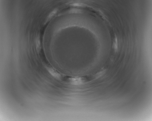 X0000082690524200702021330