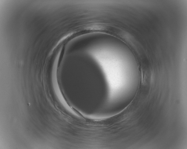 X0000082690531200702021330