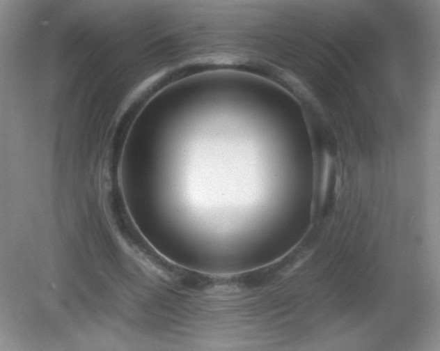 X0000082690536200702021330