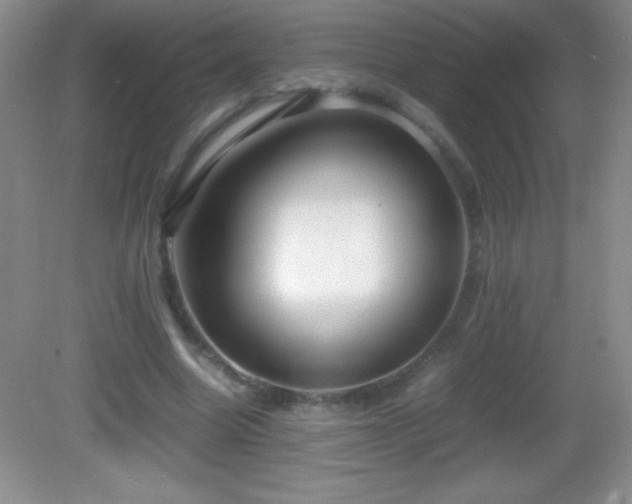 X0000082690538200702021330