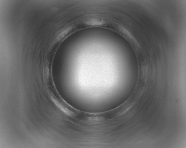 X0000082690541200702021330