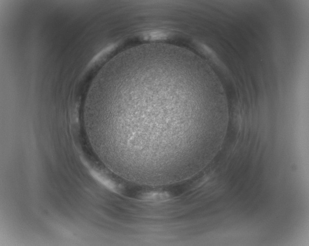 X0000082690543200702021330