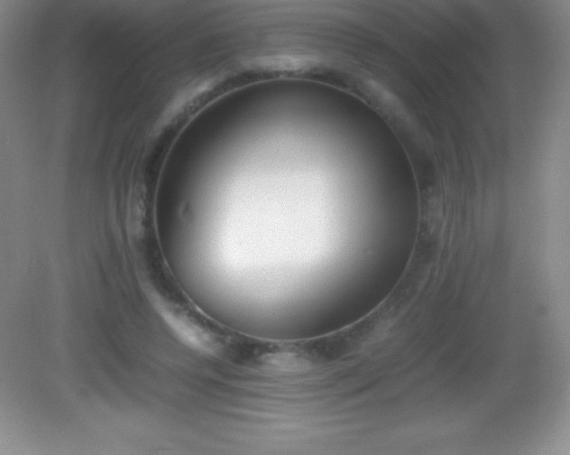 X0000082690544200702021330
