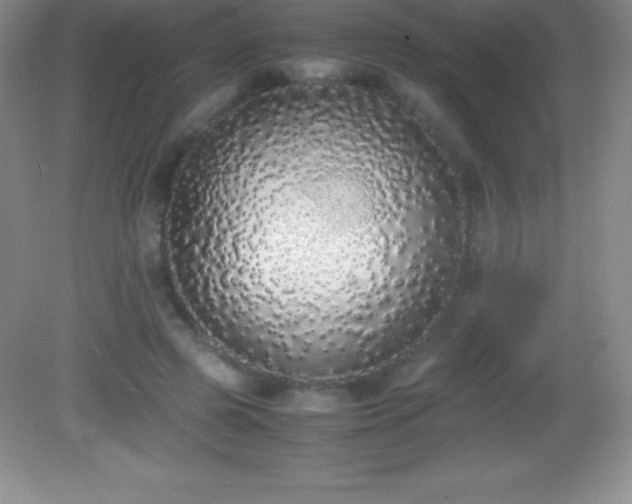 X0000082690545200702021330