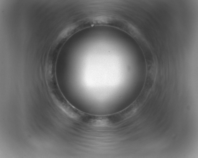 X0000082690548200702021330