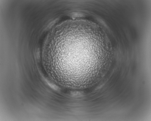 X0000082690549200702021330