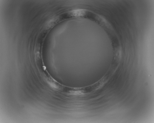 X0000082690553200702021330