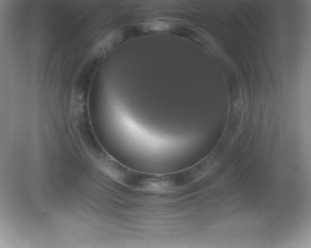 X0000082690555200702021330