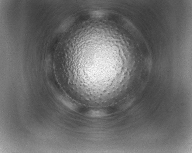 X0000082690557200702021330