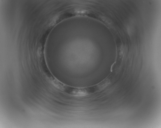 X0000082690559200702021330