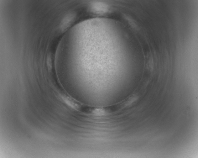 X0000082690562200702021330