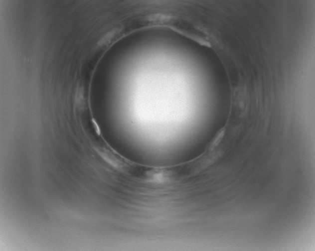 X0000082690564200702021330