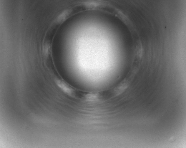 X0000082690574200702021330
