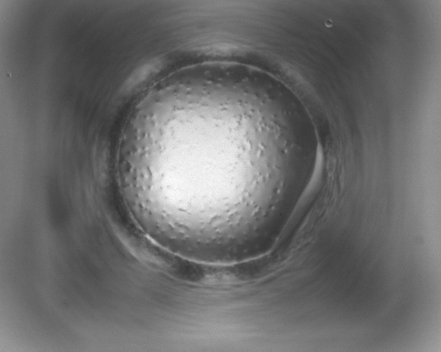 X0000082690591200702021329