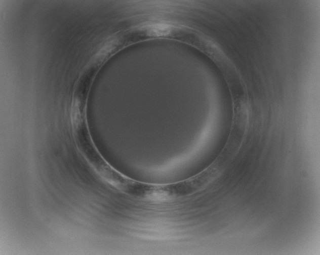 X0000082690598200702021329