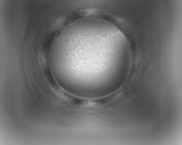 X0000082690607200702021329