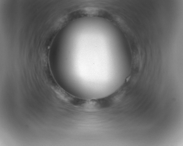 X0000082690609200702021329