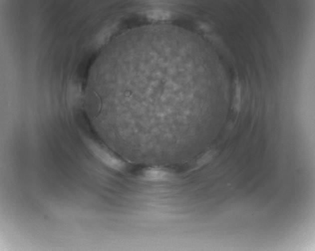 X0000082690614200702021329