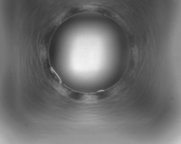 X0000082690617200702021329