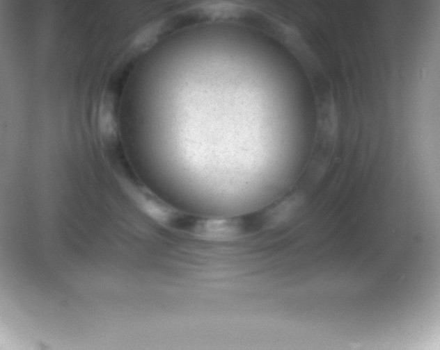 X0000082690622200702021329