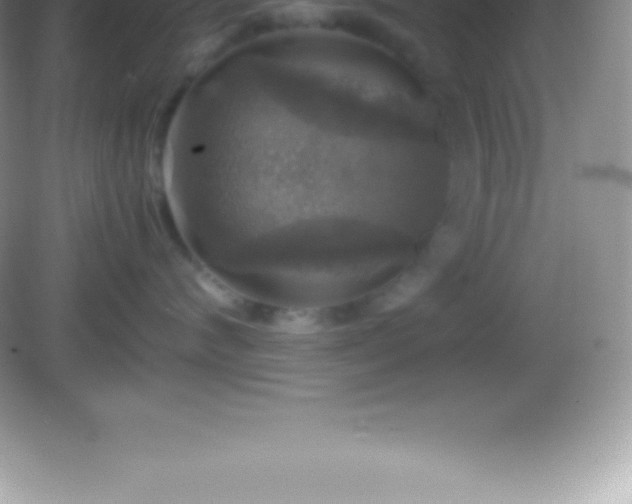 X0000082690624200702021329