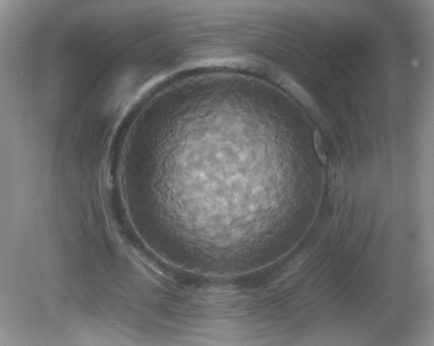 X0000082690628200702021328