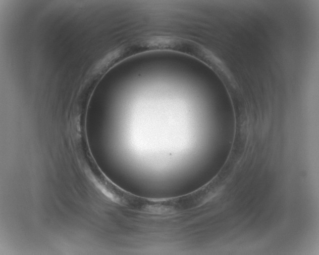 X0000082690633200702021328