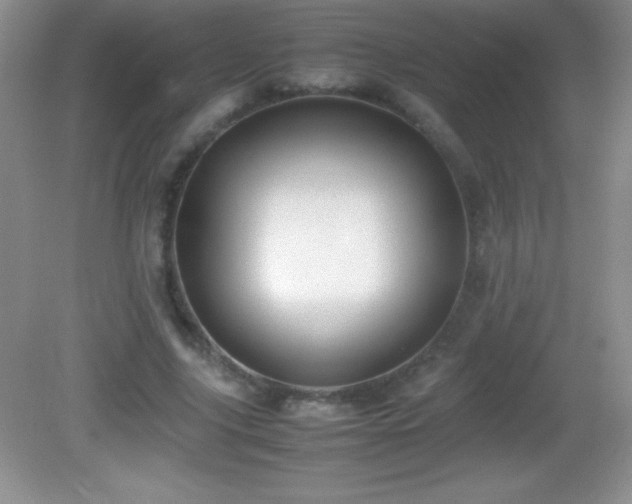 X0000082690635200702021328
