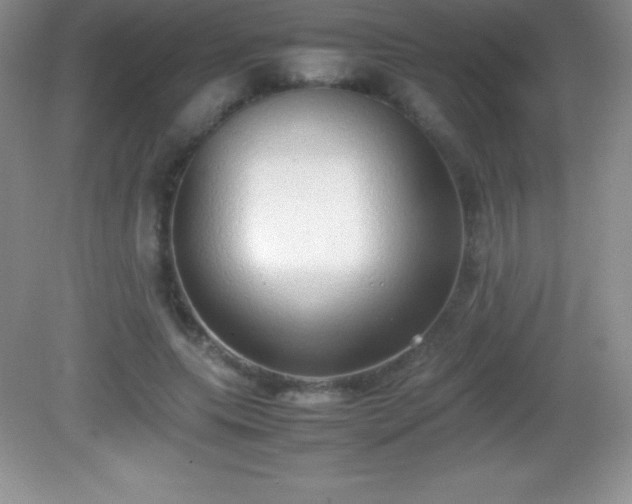 X0000082690639200702021328