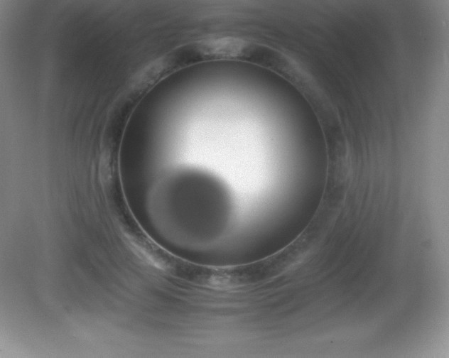 X0000082690641200702021328