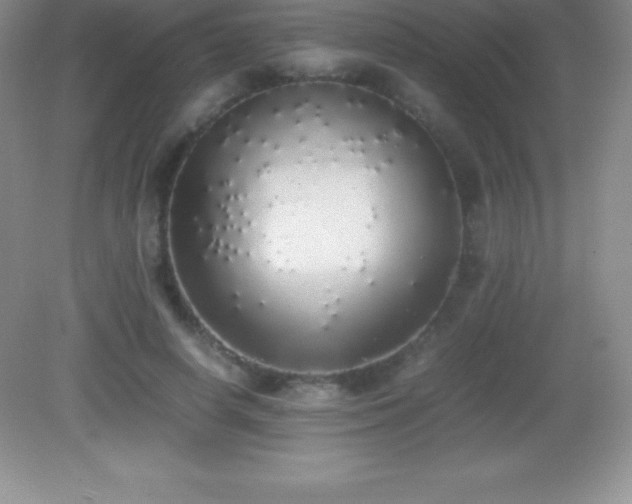 X0000082690642200702021328