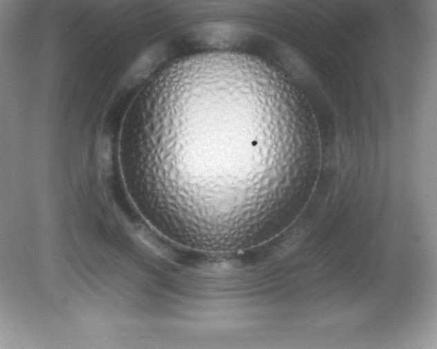 X0000082690646200702021328