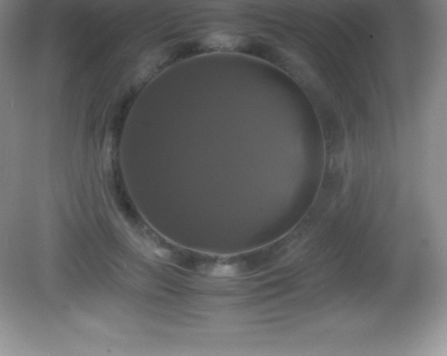 X0000082690647200702021328