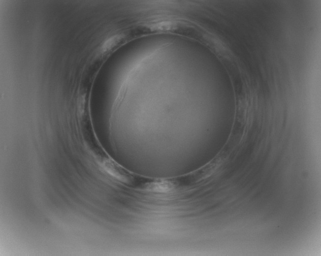 X0000082690652200702021328