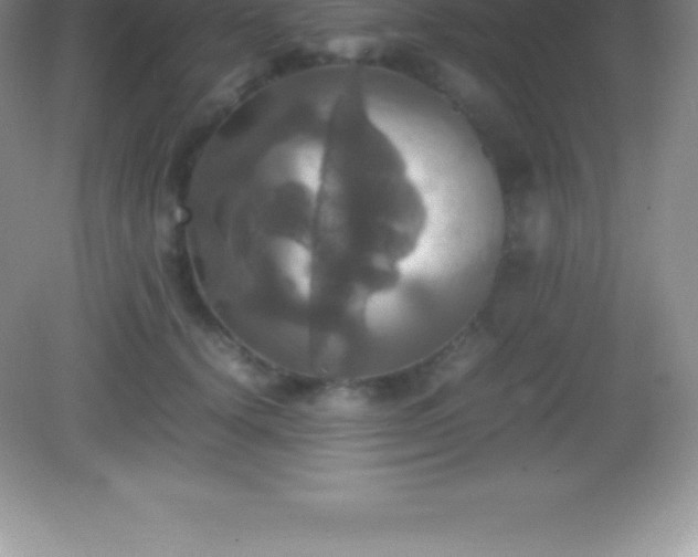 X0000082690656200702021328