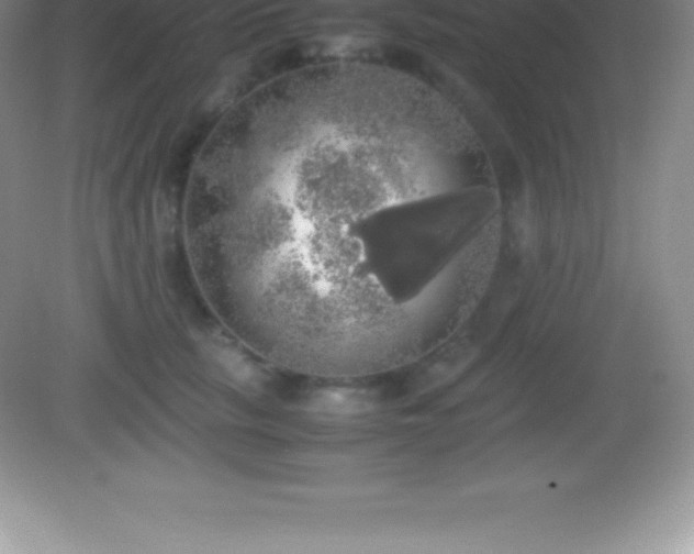 X0000082690657200702021328
