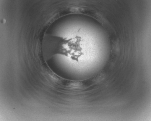 X0000082690659200702021329