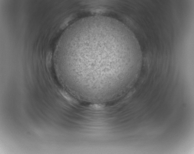 X0000082690660200702021329