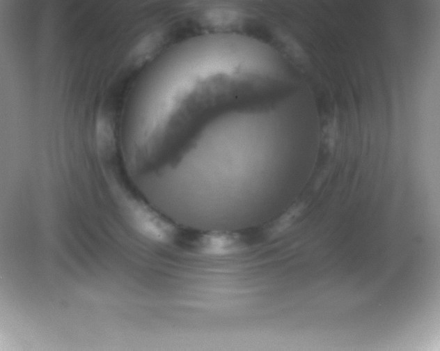 X0000082690662200702021329