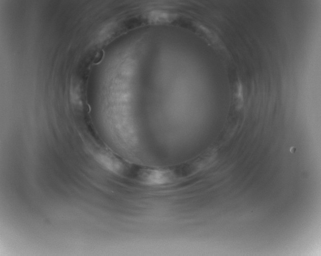 X0000082690663200702021329