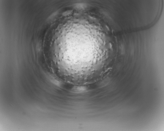 X0000082690665200702021329