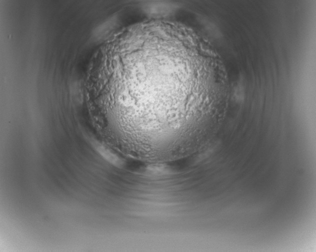 X0000082690666200702021329